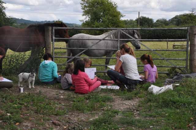 Caersws Mid Wales Arts B&B מראה חיצוני תמונה